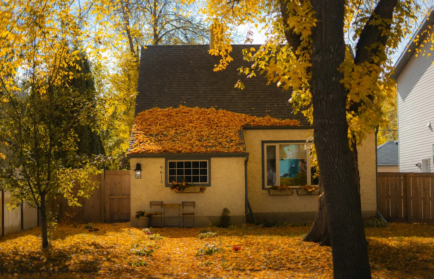 Autumn leaves piled on a house roof and carpeting the lawn beneath yellow trees