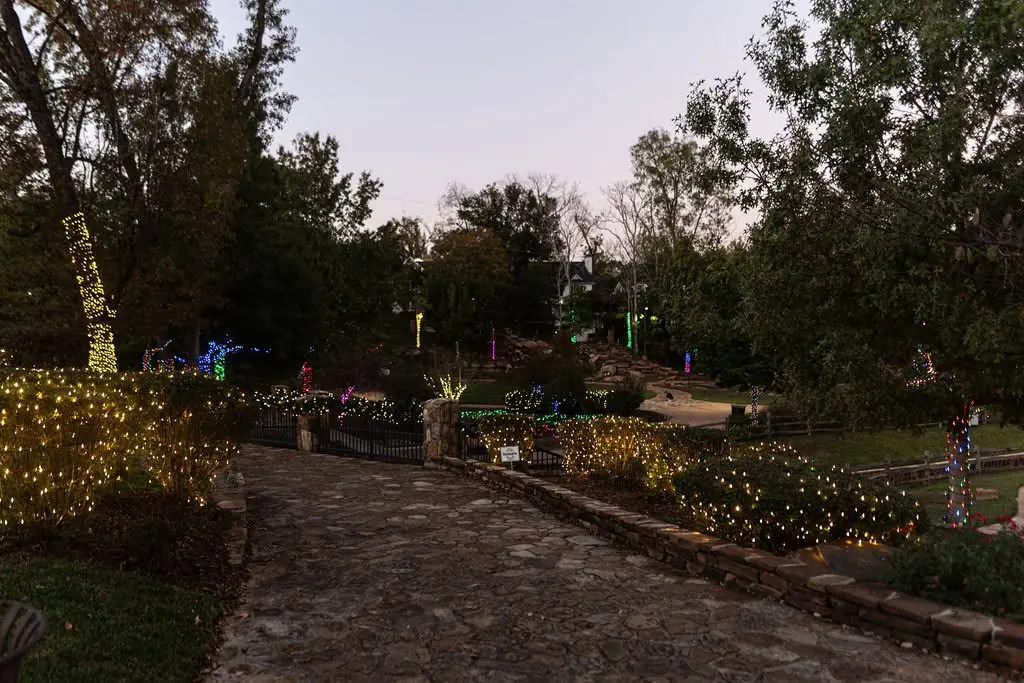 Christmas lights through the trees at the Children’s Park of Tyler