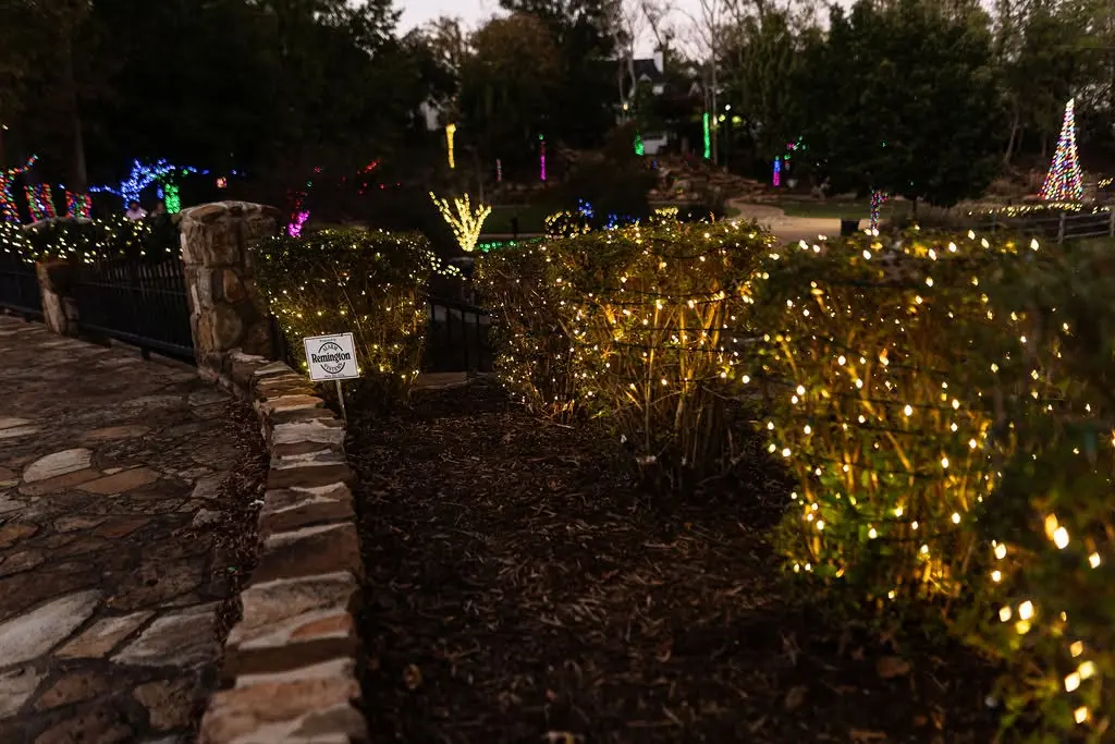 Shrubs covered with warm fairy lights