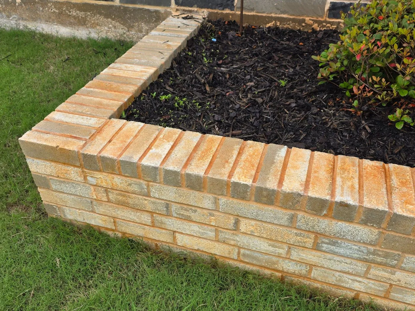 Before pressure washing: Brick planter edging